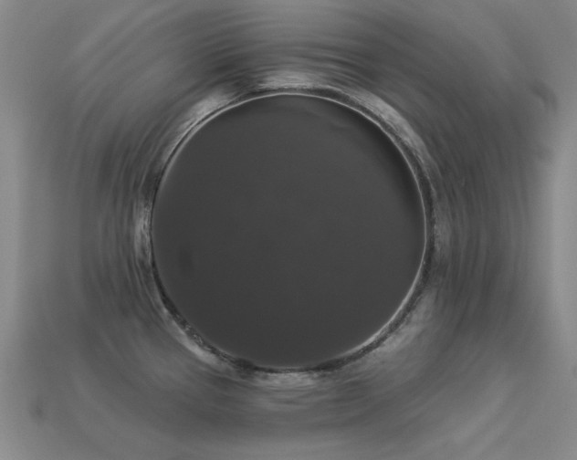 X0000113281337200909141217