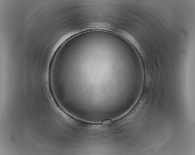 X0000113281339200909141217