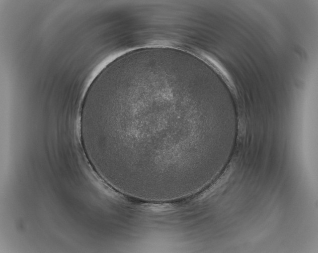 X0000113281340200909141217