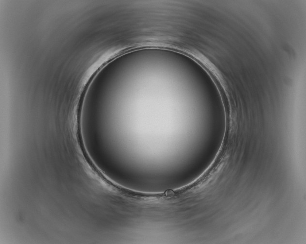 X0000113281341200909141217