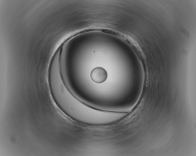 X0000113281342200909141217