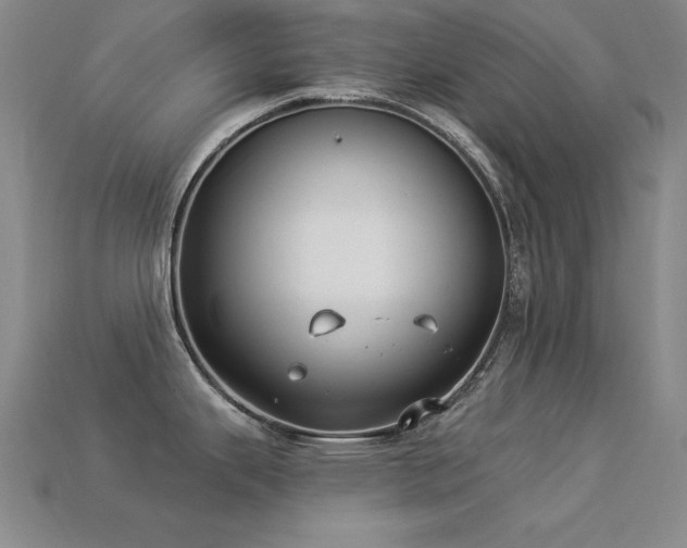 X0000113281343200909141217