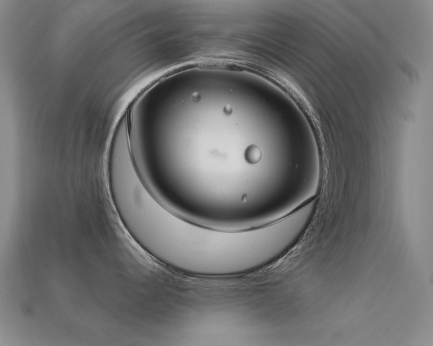 X0000113281344200909141217