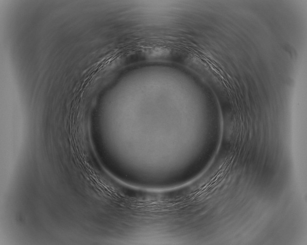 X0000113281345200909141217