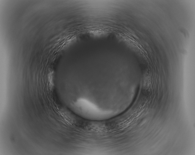 X0000113281346200909141217