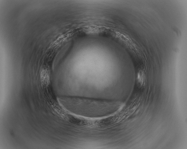 X0000113281348200909141217