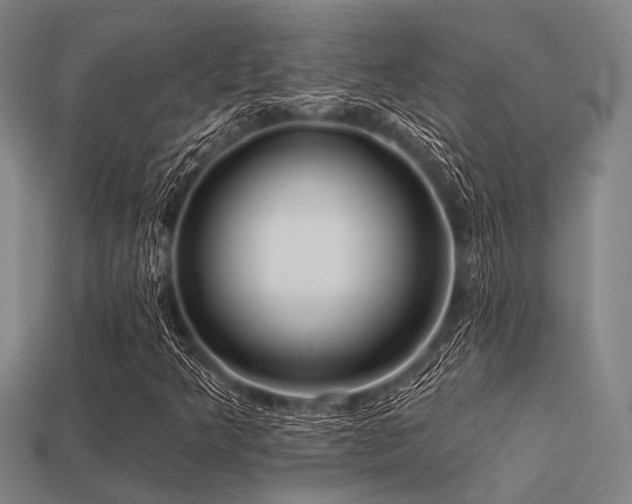 X0000113281349200909141217