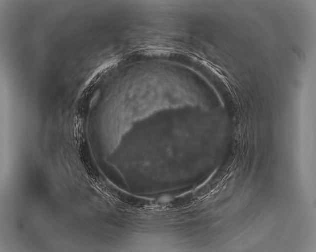 X0000113281351200909141217