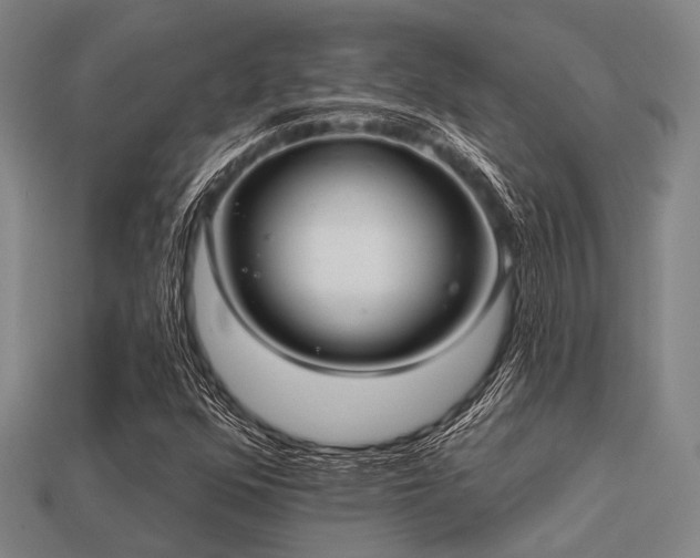 X0000113281352200909141217