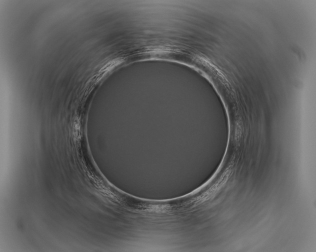 X0000113281353200909141216