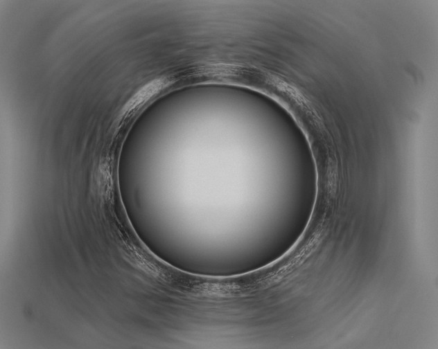 X0000113281354200909141216