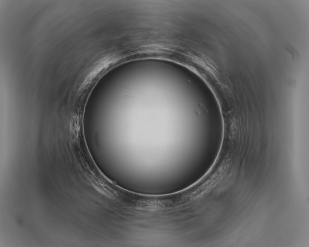 X0000113281355200909141216