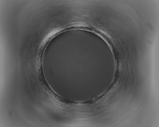 X0000113281359200909141216