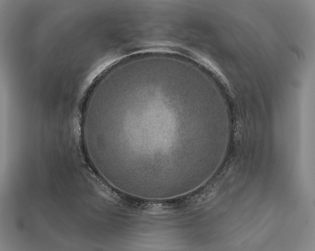 X0000113281360200909141216