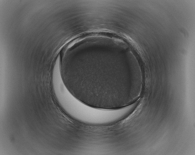 X0000113281361200909141216