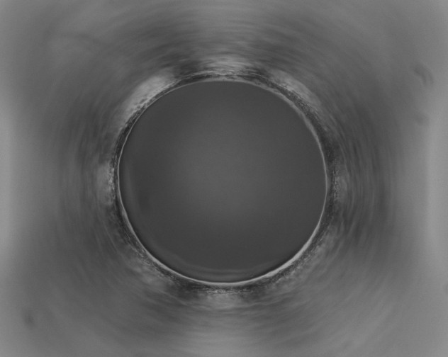 X0000113281362200909141216