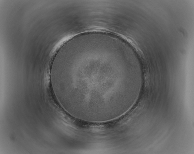 X0000113281363200909141216