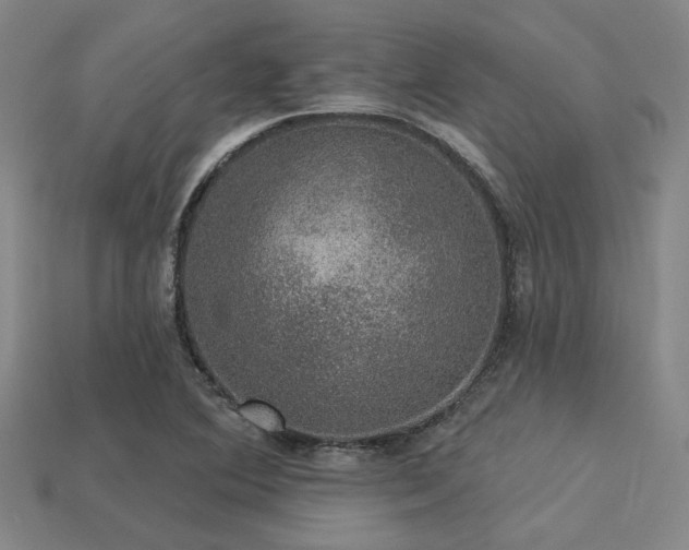 X0000113281364200909141216