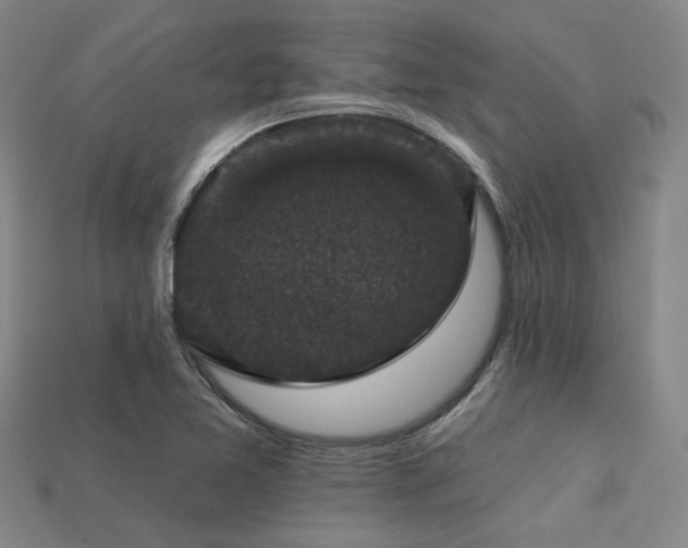 X0000113281365200909141216