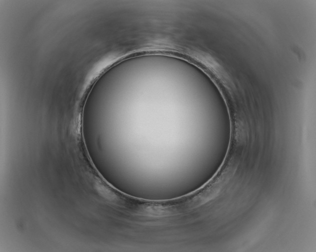 X0000113281366200909141216