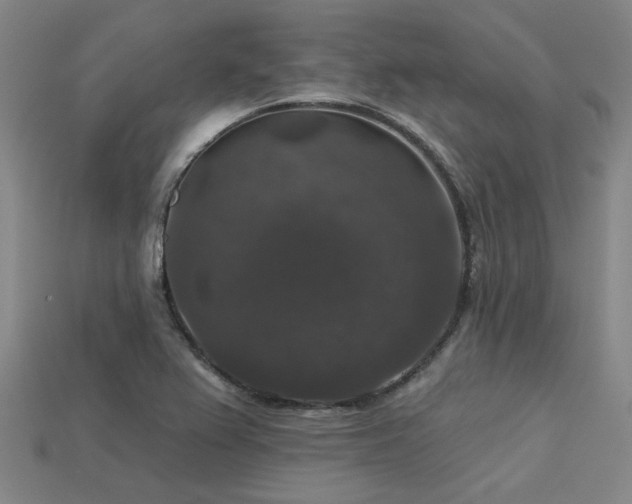 X0000113281367200909141216