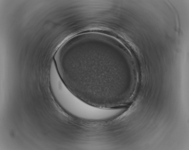 X0000113281369200909141216