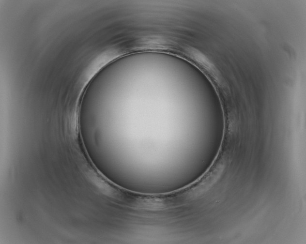 X0000113281370200909141216