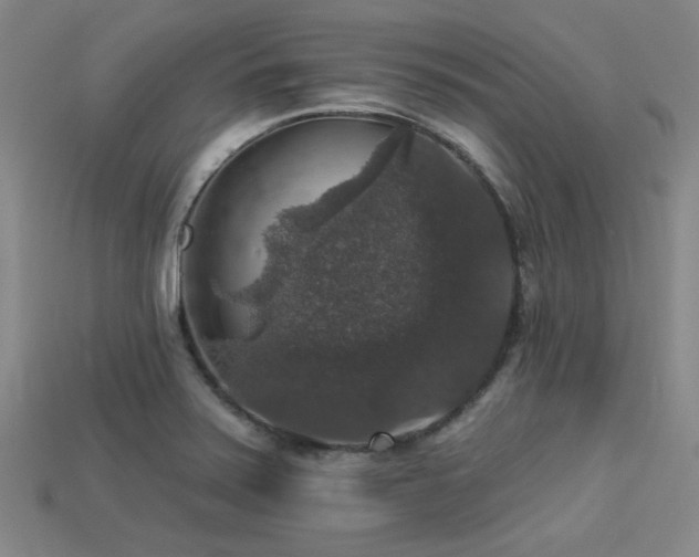 X0000113281371200909141216