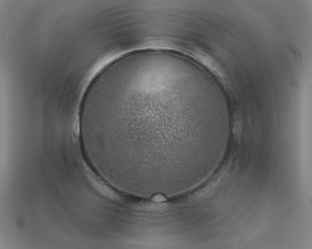 X0000113281372200909141216