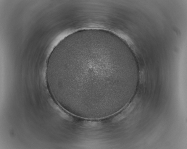 X0000113281374200909141216