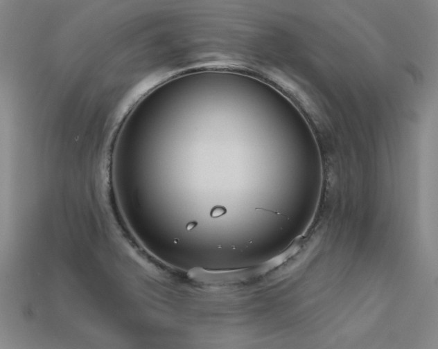 X0000113281375200909141216