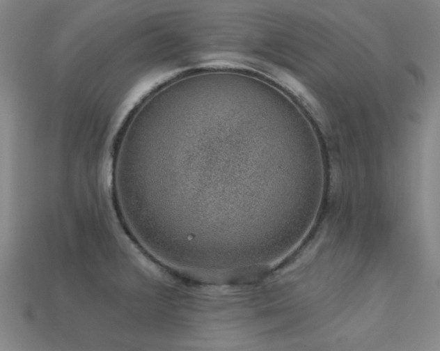 X0000113281376200909141216