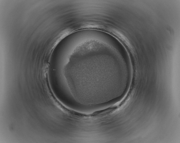 X0000113281377200909141216