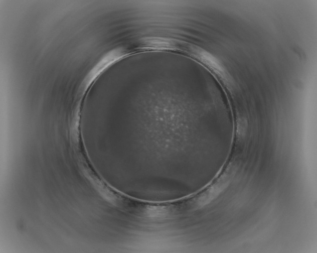 X0000113281378200909141216