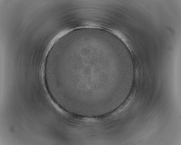 X0000113281379200909141216