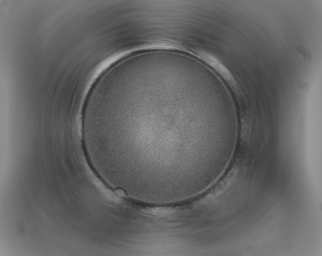 X0000113281380200909141216