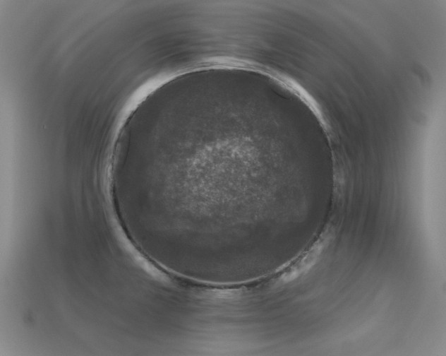 X0000113281381200909141216