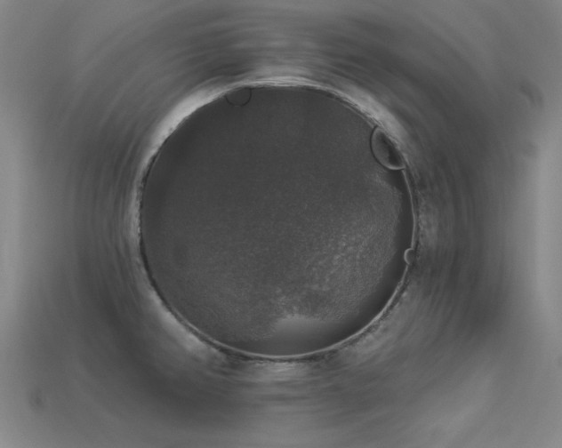 X0000113281382200909141216