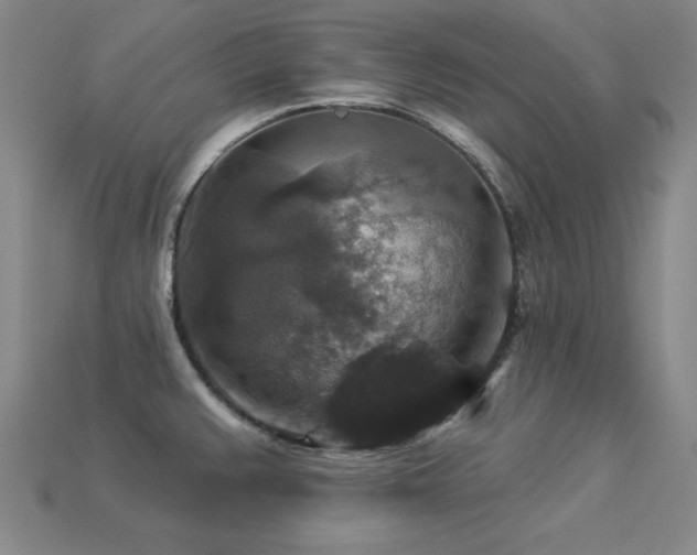 X0000113281383200909141216