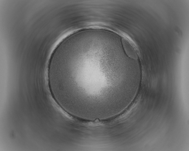 X0000113281384200909141216