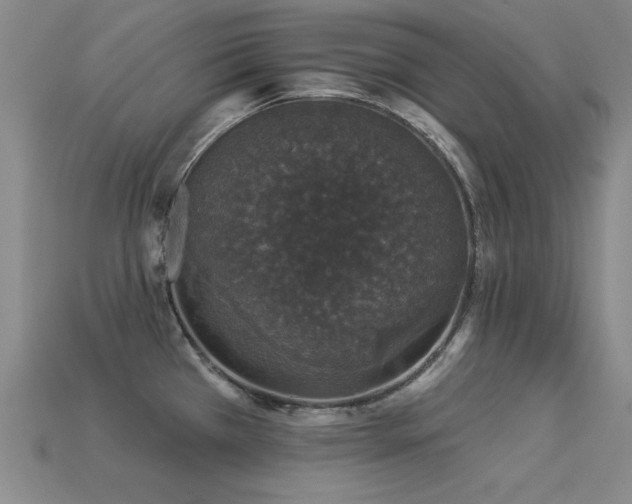 X0000113281385200909141216