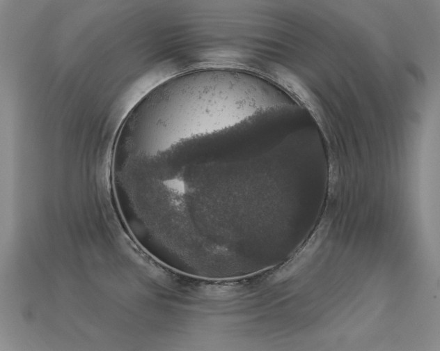 X0000113281386200909141216