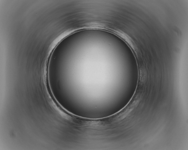 X0000113281387200909141216