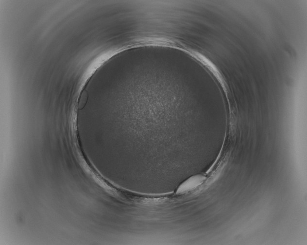 X0000113281389200909141216