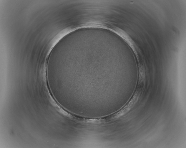 X0000113281390200909141216