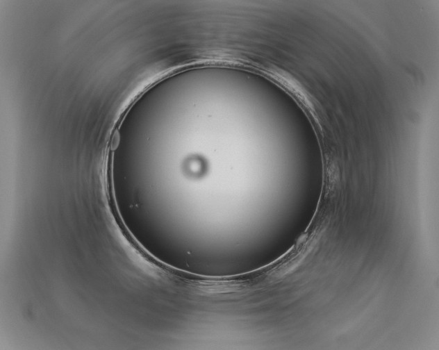 X0000113281391200909141216