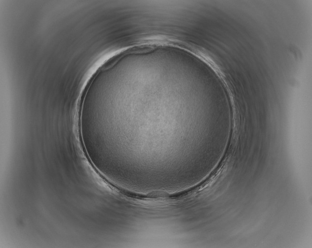 X0000113281392200909141216