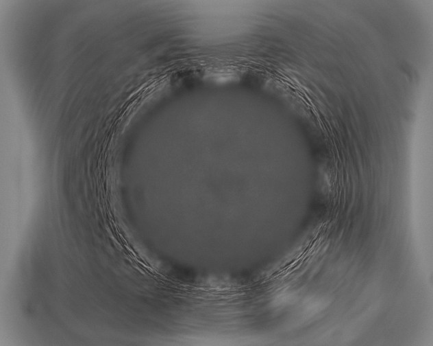 X0000113281393200909141215