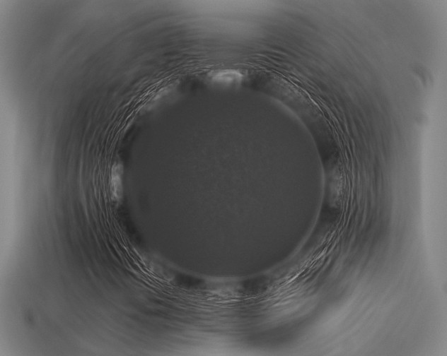 X0000113281394200909141215