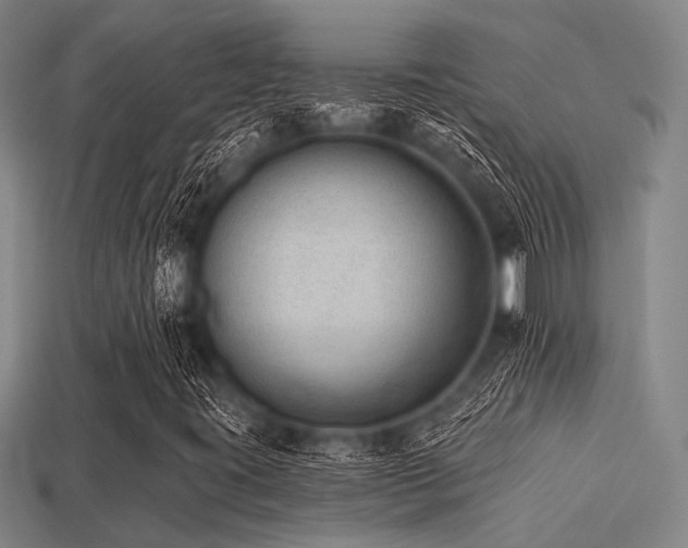 X0000113281395200909141215